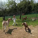 Za Swierkami Ferienhaus