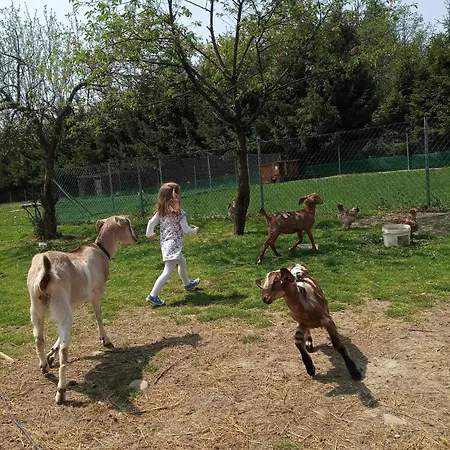 Za Swierkami Сasa de vacaciones