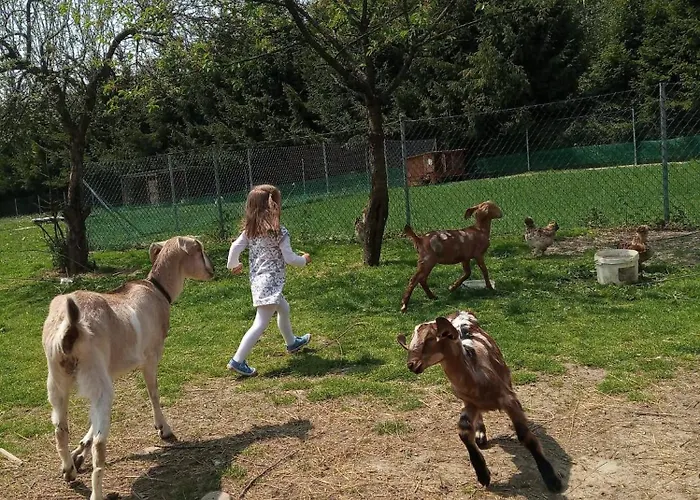 Za Swierkami Vakantiehuis