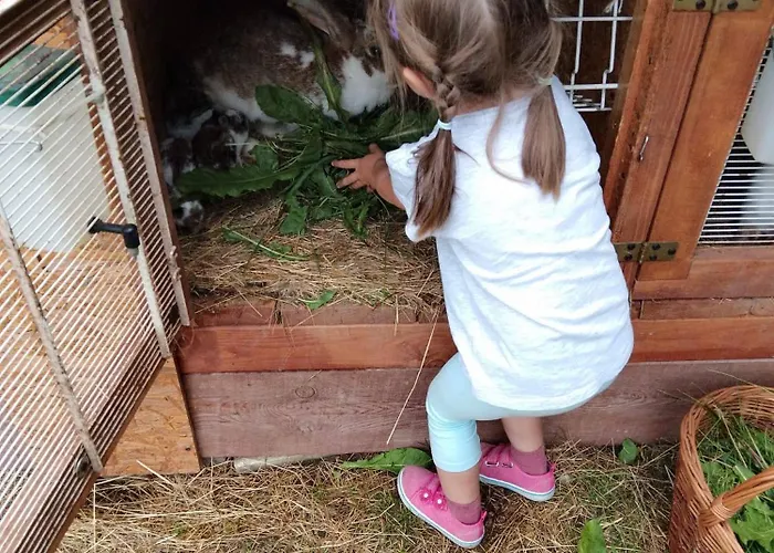 Za Swierkami * Tylicz